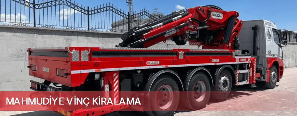 Mahmudiye İlçemi Vinç Kiralama